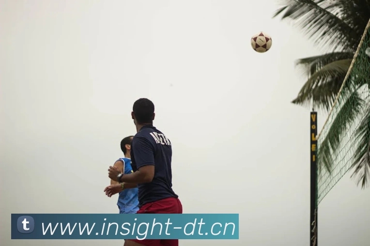 开云手机登录官网平台生态图